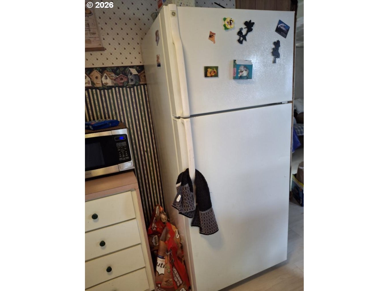 3950 Coburg Road, Unit 3 Eugene, OR 97408 - Photo 8 of 14 a white refrigerator freezer and a dishwasher sitting inside of a cabinet