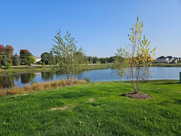 a lake view with a big yard and potted plants