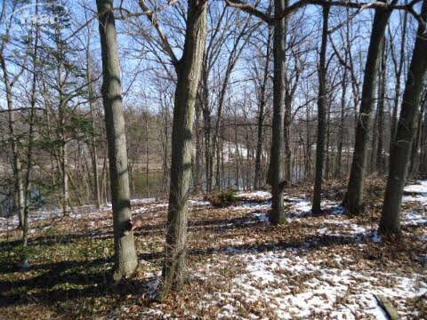 6726 East River Road Flushing, MI 48433 - Photo 28 of 30 20345532-27.JPG