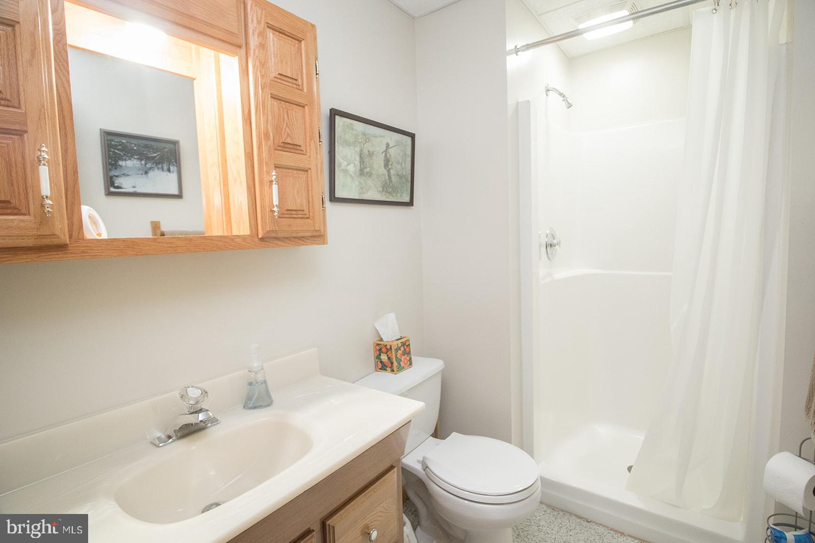 11620 Big Sandy Run Road Lusby, MD 20657 - Photo 42 of 64 a bathroom with a sink a toilet and shower