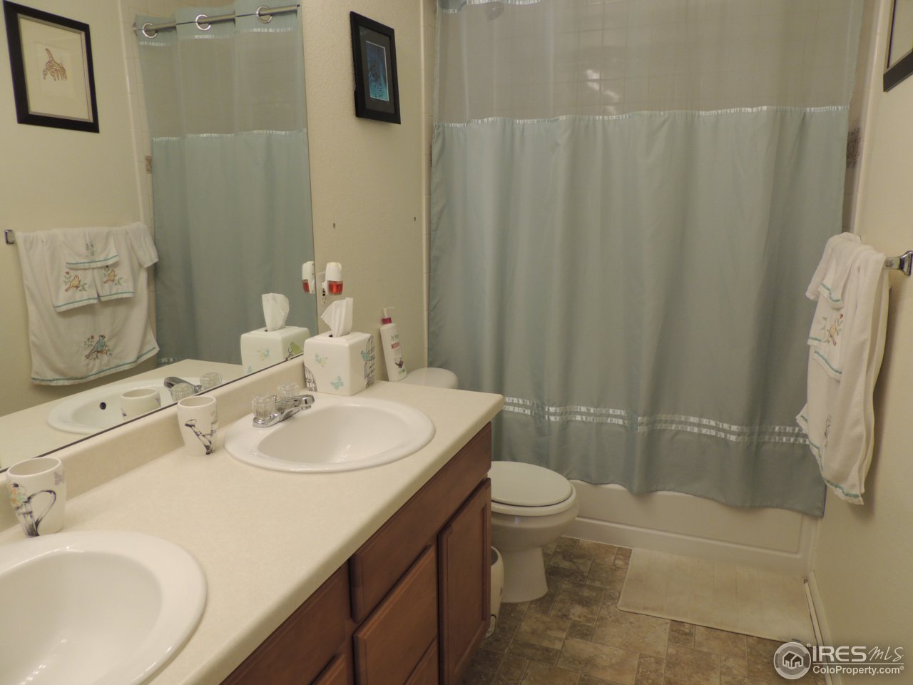 10442 Lower Ridge Road Longmont, CO 80504 - Photo 14 of 20 Master Bath