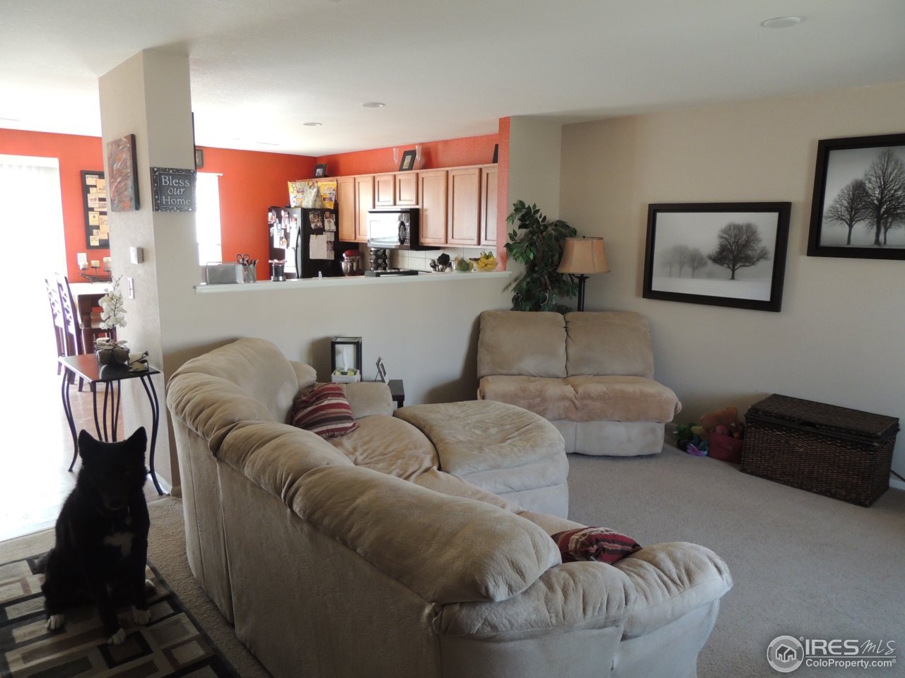 10442 Lower Ridge Road Longmont, CO 80504 - Photo 2 of 20 Gallery Image 2