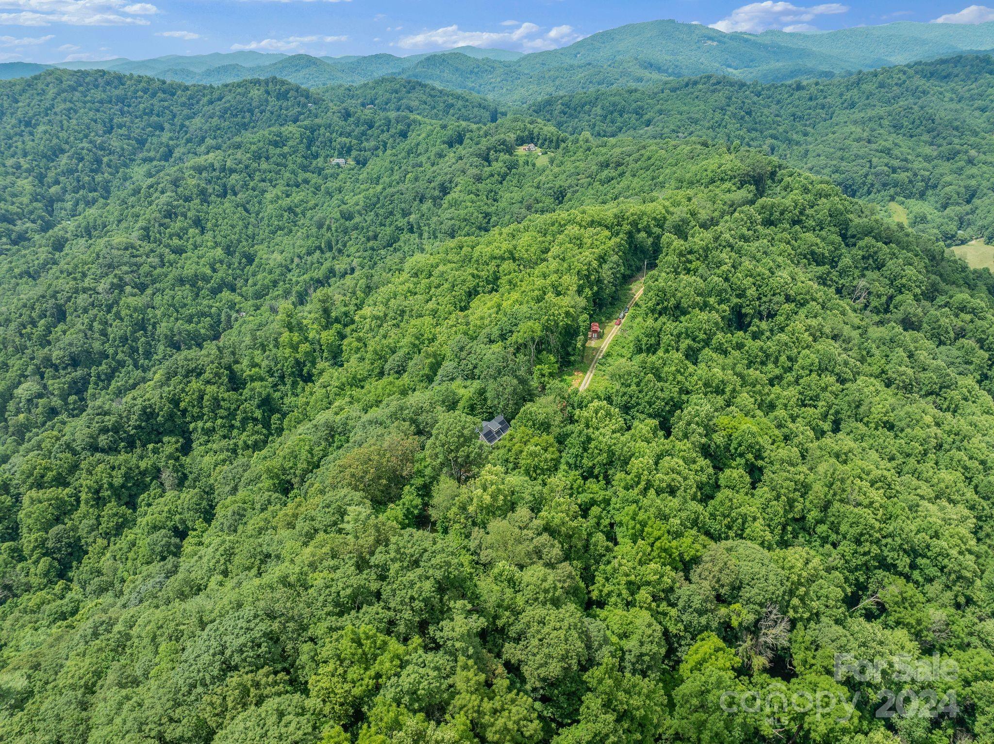 966 Granny Shepherd Road Mars Hill, NC 28754 - Photo 35 of 40 Gallery Image 35