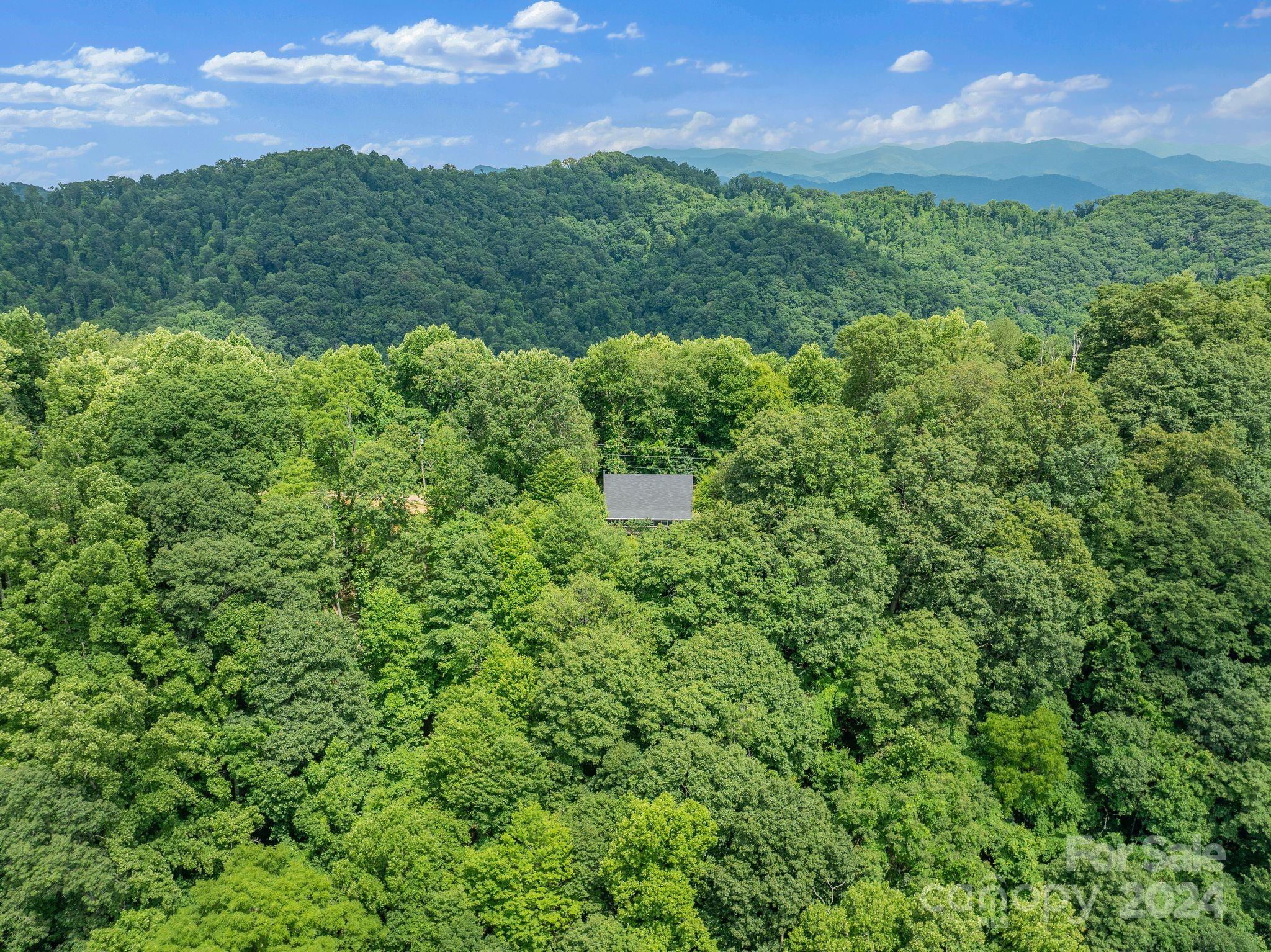 966 Granny Shepherd Road Mars Hill, NC 28754 - Photo 38 of 40 Gallery Image 38