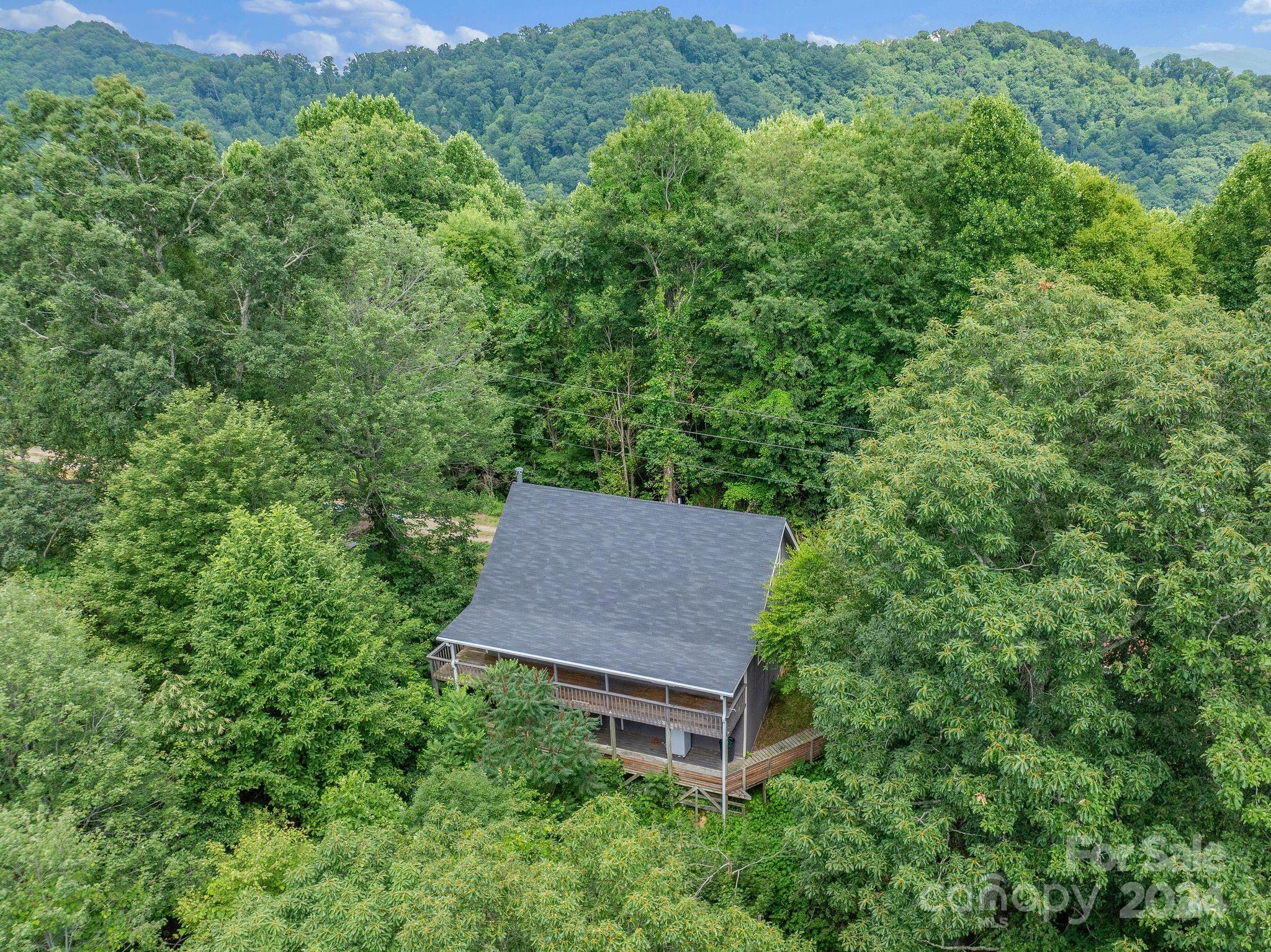 966 Granny Shepherd Road Mars Hill, NC 28754 - Photo 39 of 40 Gallery Image 39
