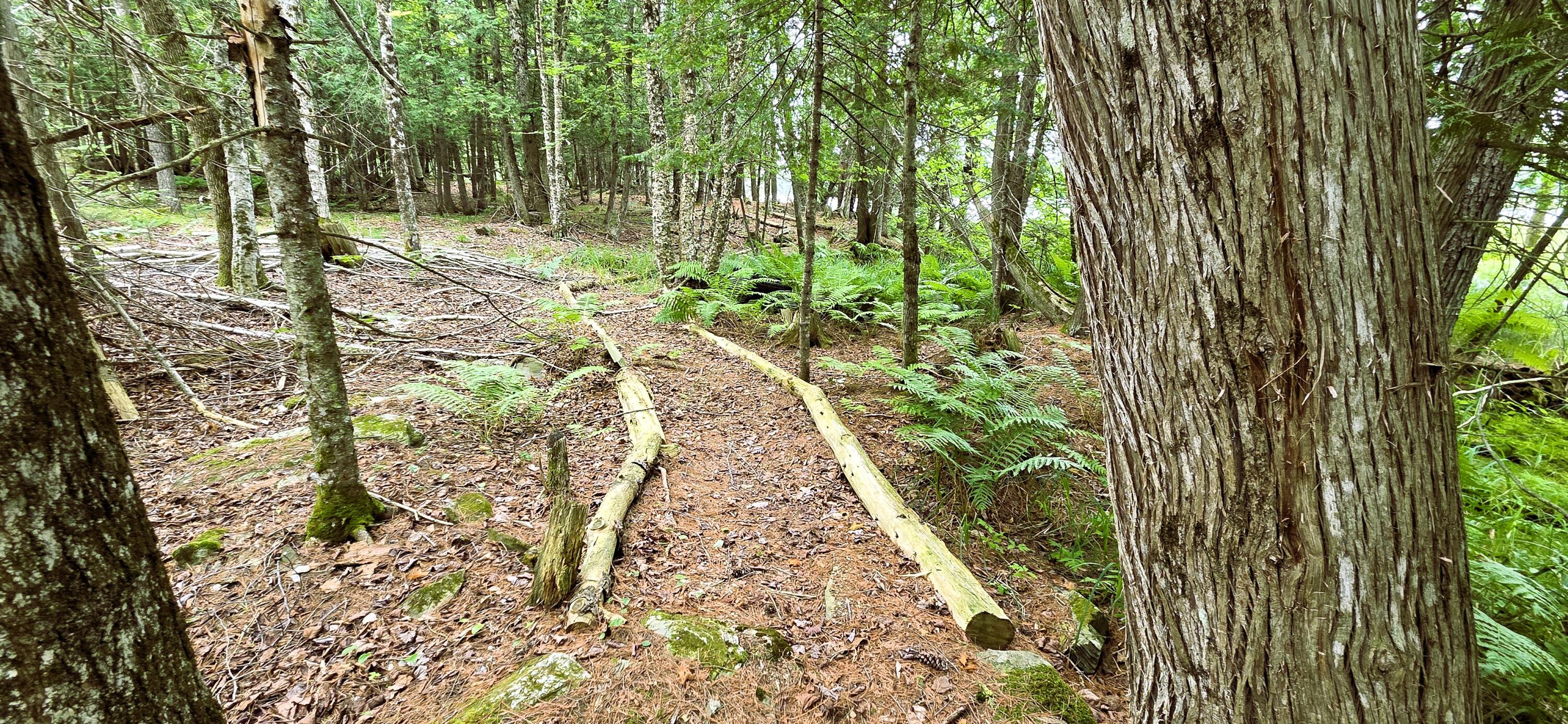 83 Brooks Pond Road Corinna, ME 04928 - Photo 78 of 80 2nd trail 3