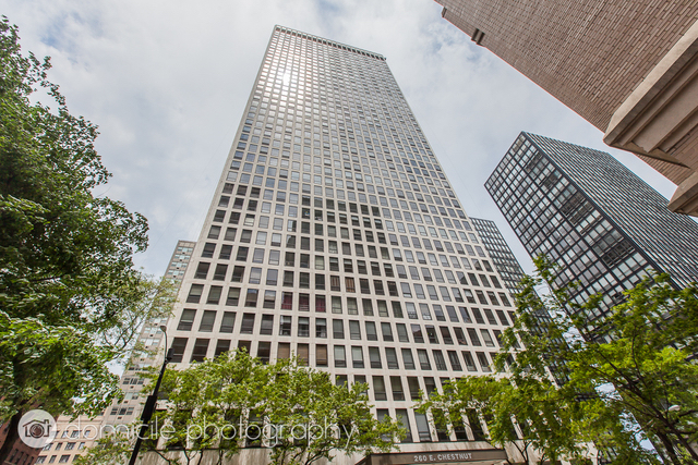 260 East Chestnut Street, Unit 3201 Chicago, IL 60611 - Photo 1 of 15 front view of a building