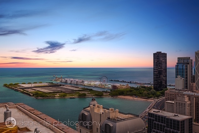 260 East Chestnut Street, Unit 3201 Chicago, IL 60611 - Photo 14 of 15 a view of a city from a lake