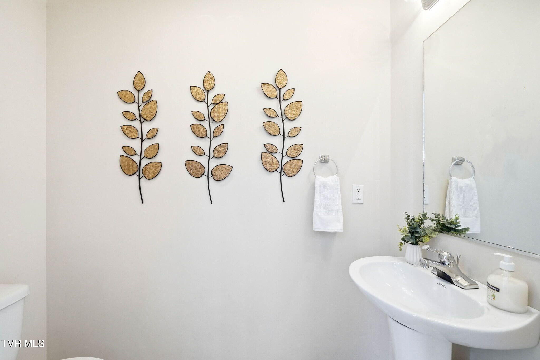 563 Boring Chapel Road, Unit 2 Johnson City, TN 37615 - Photo 12 of 37 Main Level Bathroom