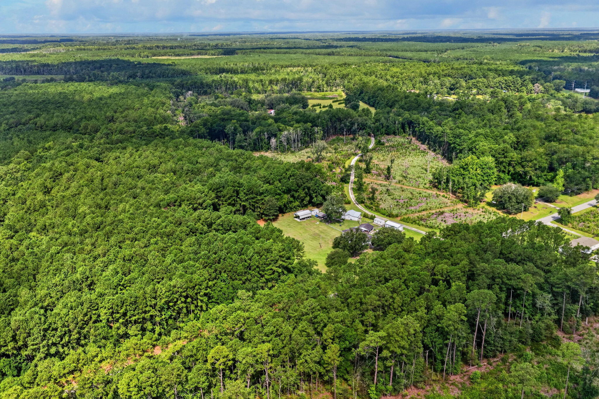 0 Peirce Road Ridgeville, SC 29472 - Photo 4 of 16 Aerial View