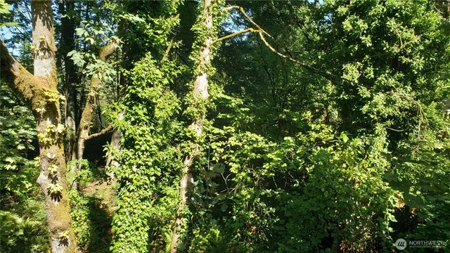 $59,500 | 120-xx Southeast May Creek Park Drive, Newcastle, WA 98056