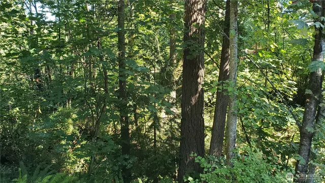 $59,500 | 120-xx Southeast May Creek Park Drive, Newcastle, WA 98056