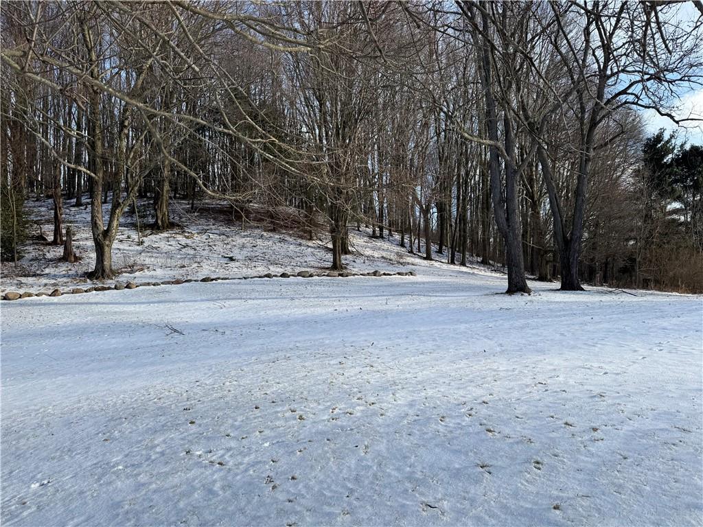 2072 Boyd School Road Wampum, PA 16157 - Photo 36 of 45 a view of outdoor space with trees