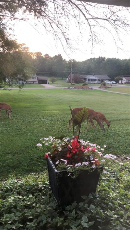 2072 Boyd School Road Wampum, PA 16157 - Photo 44 of 45 a view of a lake with a mountain