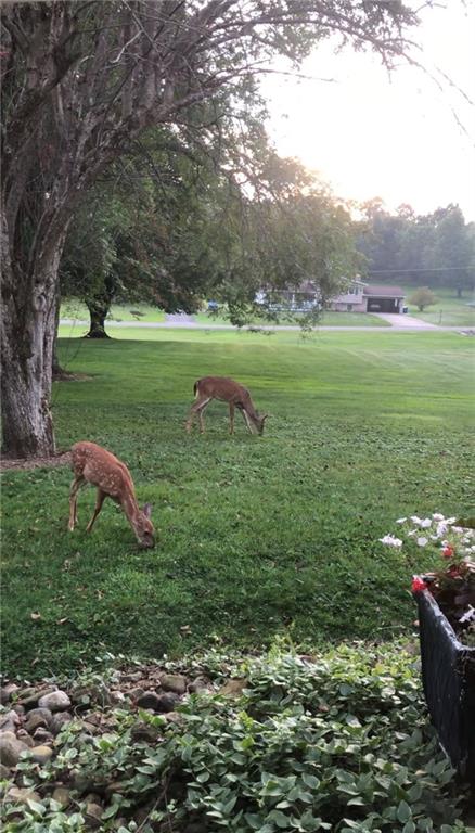 2072 Boyd School Road Wampum, PA 16157 - Photo 45 of 45 a view of a green field with wooden fence
