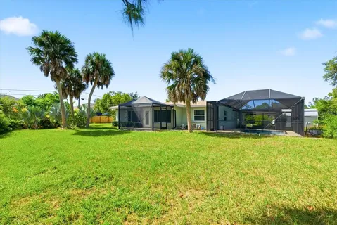 a view of a yard with a palm tree