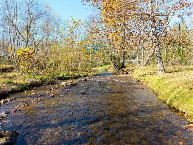 a view of dirt yard with a large tree