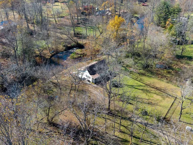 a view of a yard with plants and large trees