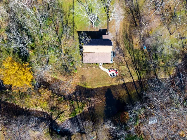 a view of a yard with plants and large trees