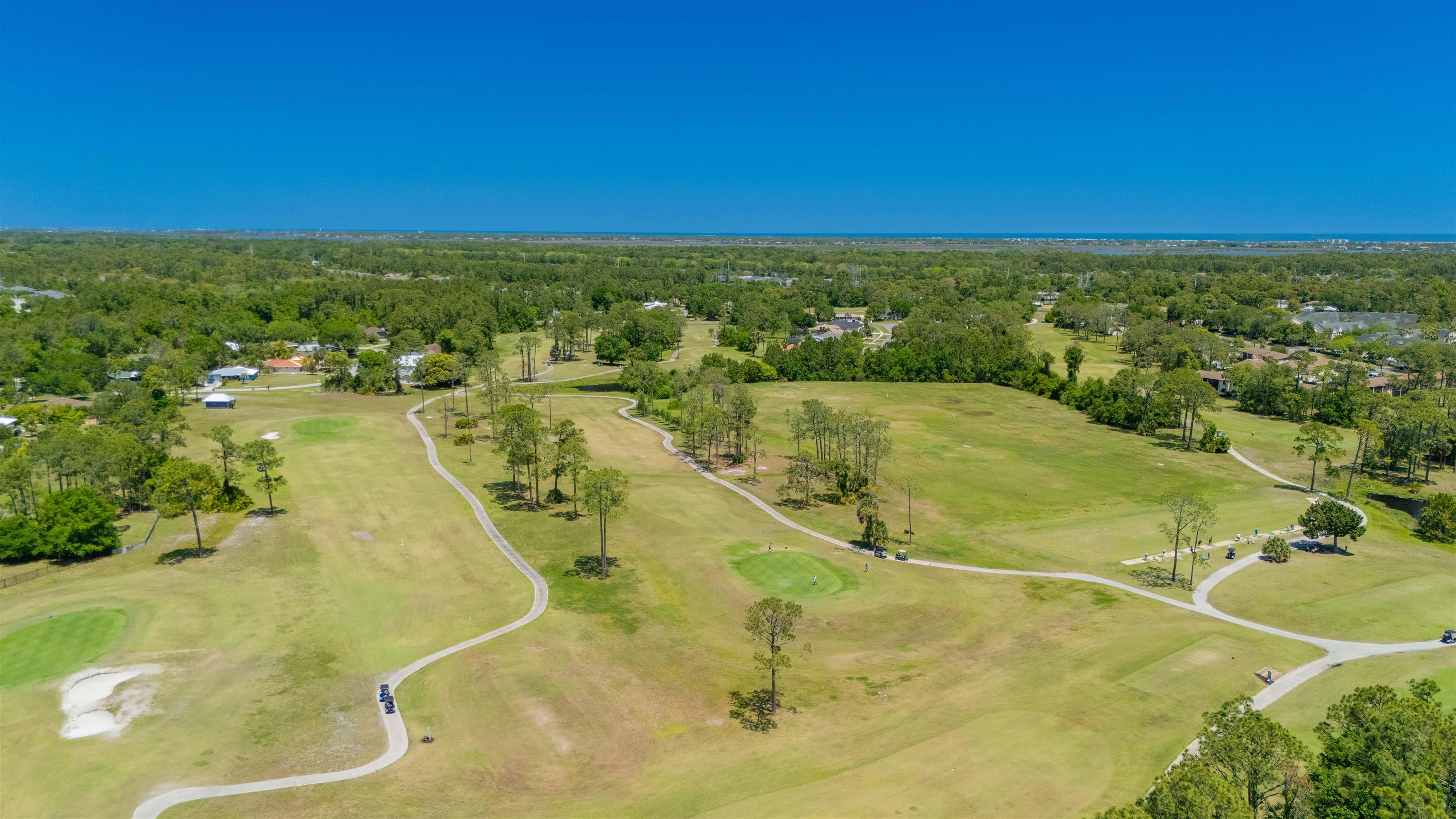 301 Graciela Circle St. Augustine, FL 32086 - Photo 36 of 84