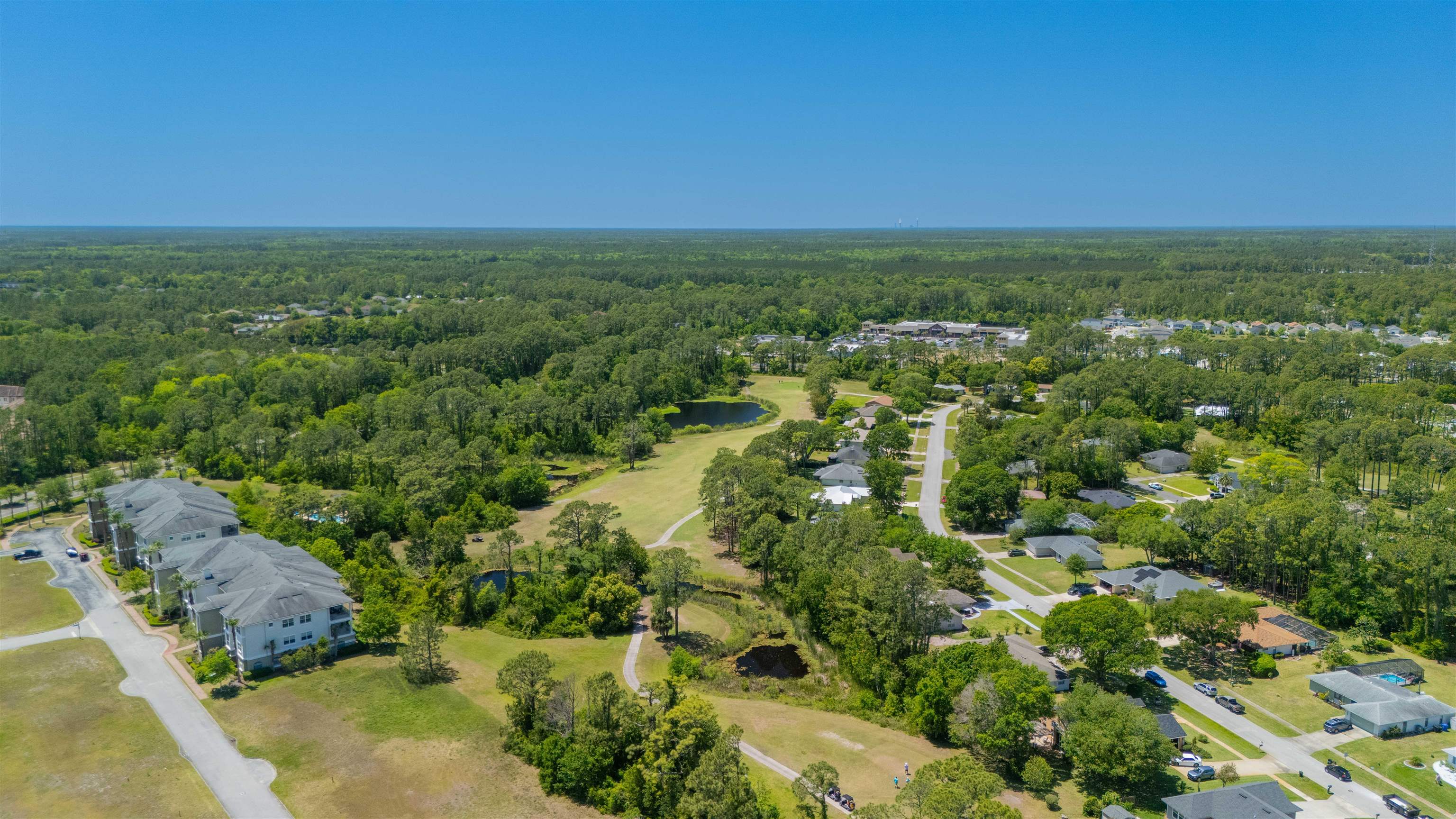 301 Graciela Circle St. Augustine, FL 32086 - Photo 69 of 84 an aerial view of residential houses with outdoor space and trees