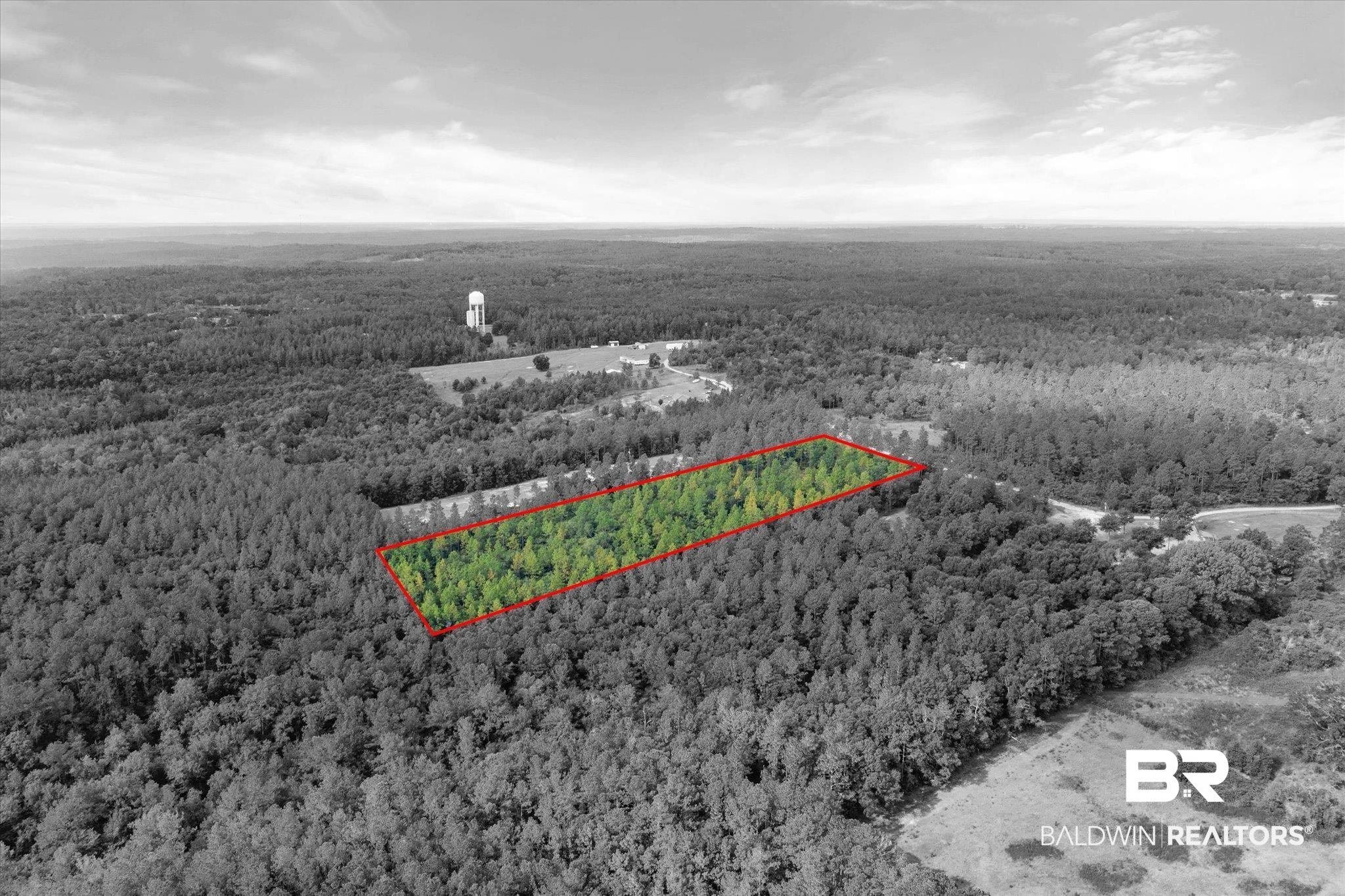 0 East Chunchula Highlands Road Chunchula, AL 36521 - Photo 7 of 18