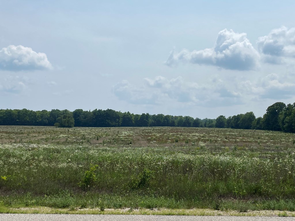 Lot 2 County Road Baileys Harbor, WI 54202 - Photo 2 of 2