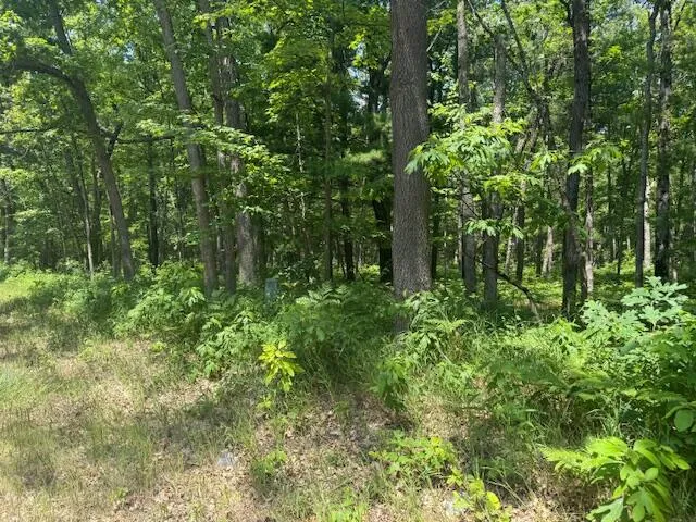 $69,900 | Vl Cleveland Drive West, Bitely, MI 49309