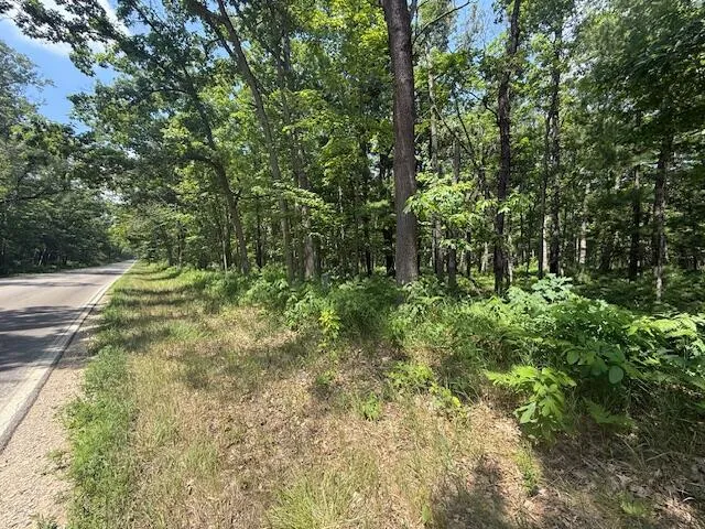 $69,900 | Vl Cleveland Drive West, Bitely, MI 49309