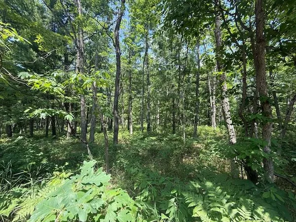 $69,900 | Vl Cleveland Drive West, Bitely, MI 49309