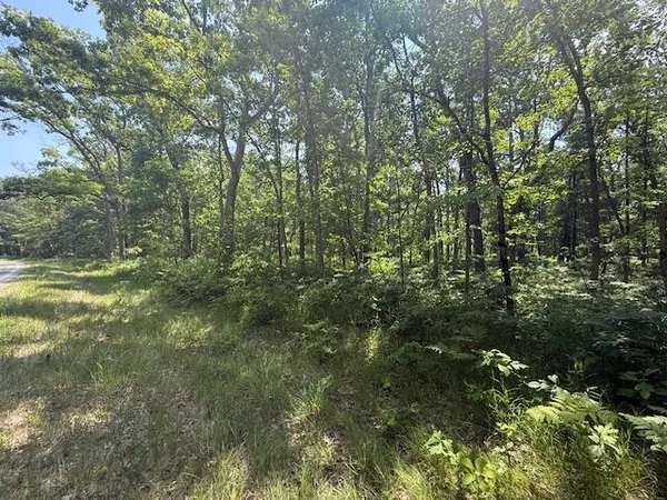 $69,900 | Vl Cleveland Drive West, Bitely, MI 49309