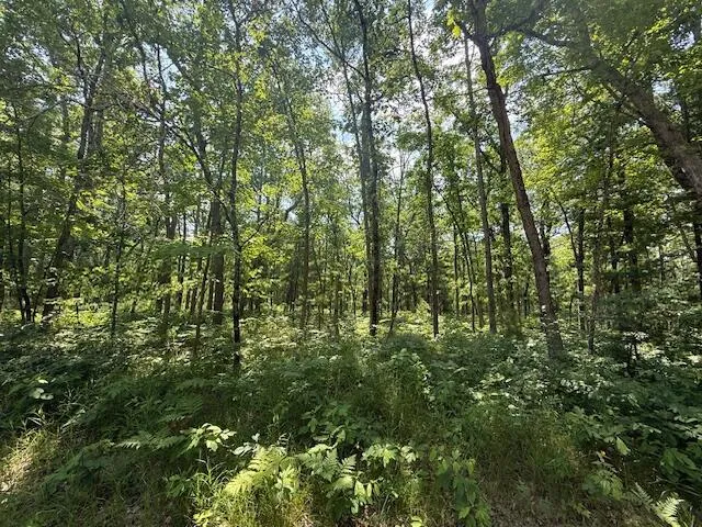 $69,900 | Vl Cleveland Drive West, Bitely, MI 49309