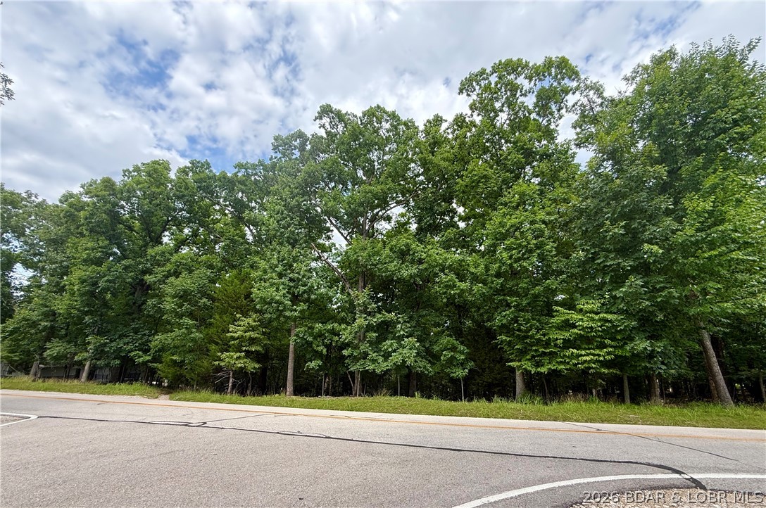Four Cornett Branch Road Four Seasons, MO 65049 - Photo 2 of 3 Buildable lot