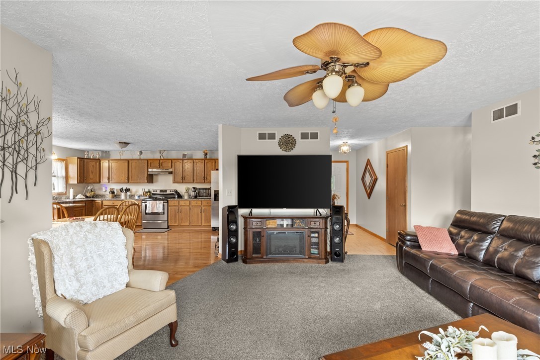 40885 Mt Hope Road Flushing, OH 43977 - Photo 9 of 50 Living room featuring a textured ceiling and ceiling fan