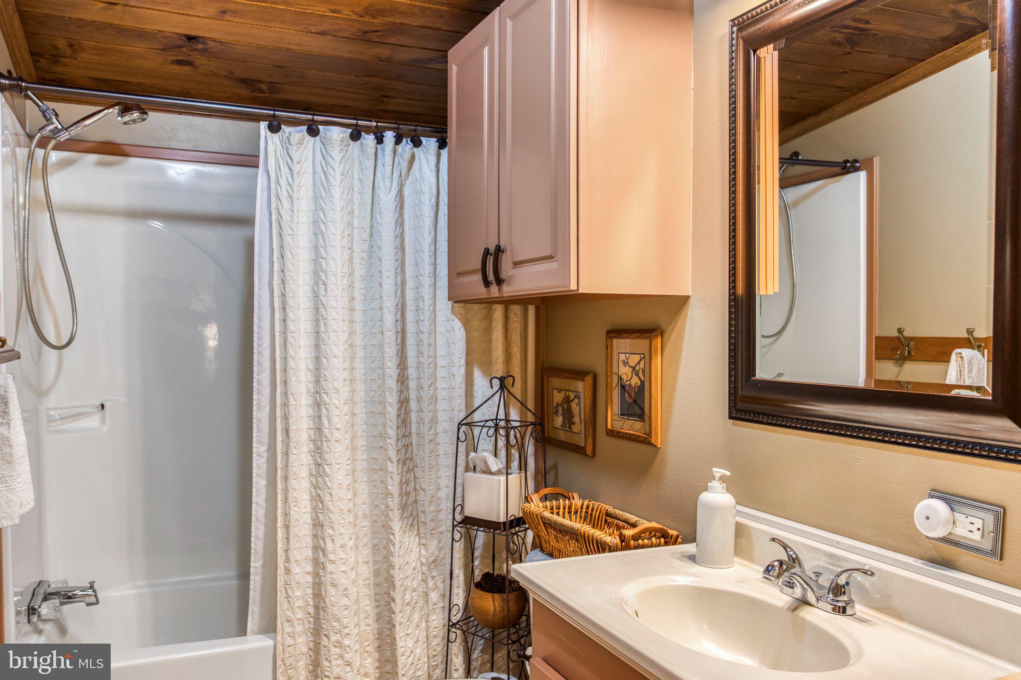 335 Charley Bowser Road Accident, MD 21520 - Photo 18 of 85 Charming bathroom with rustic accents.