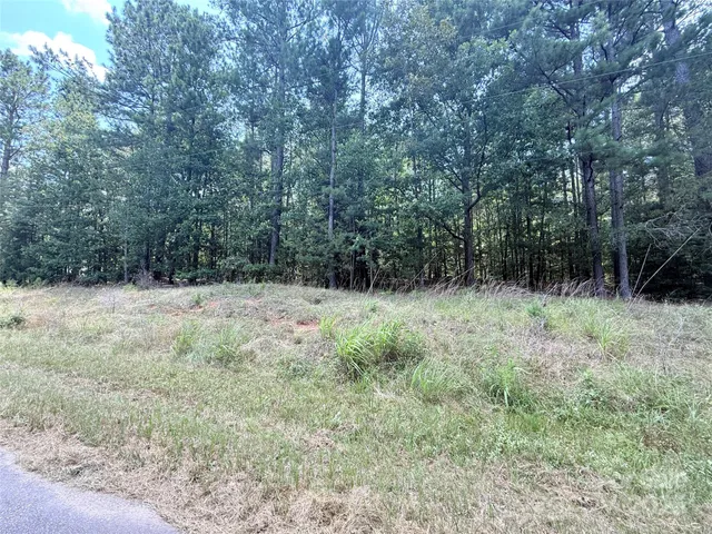 $85,000 | 4.7-acres Blade Run Road, Edgemoor, SC 29712