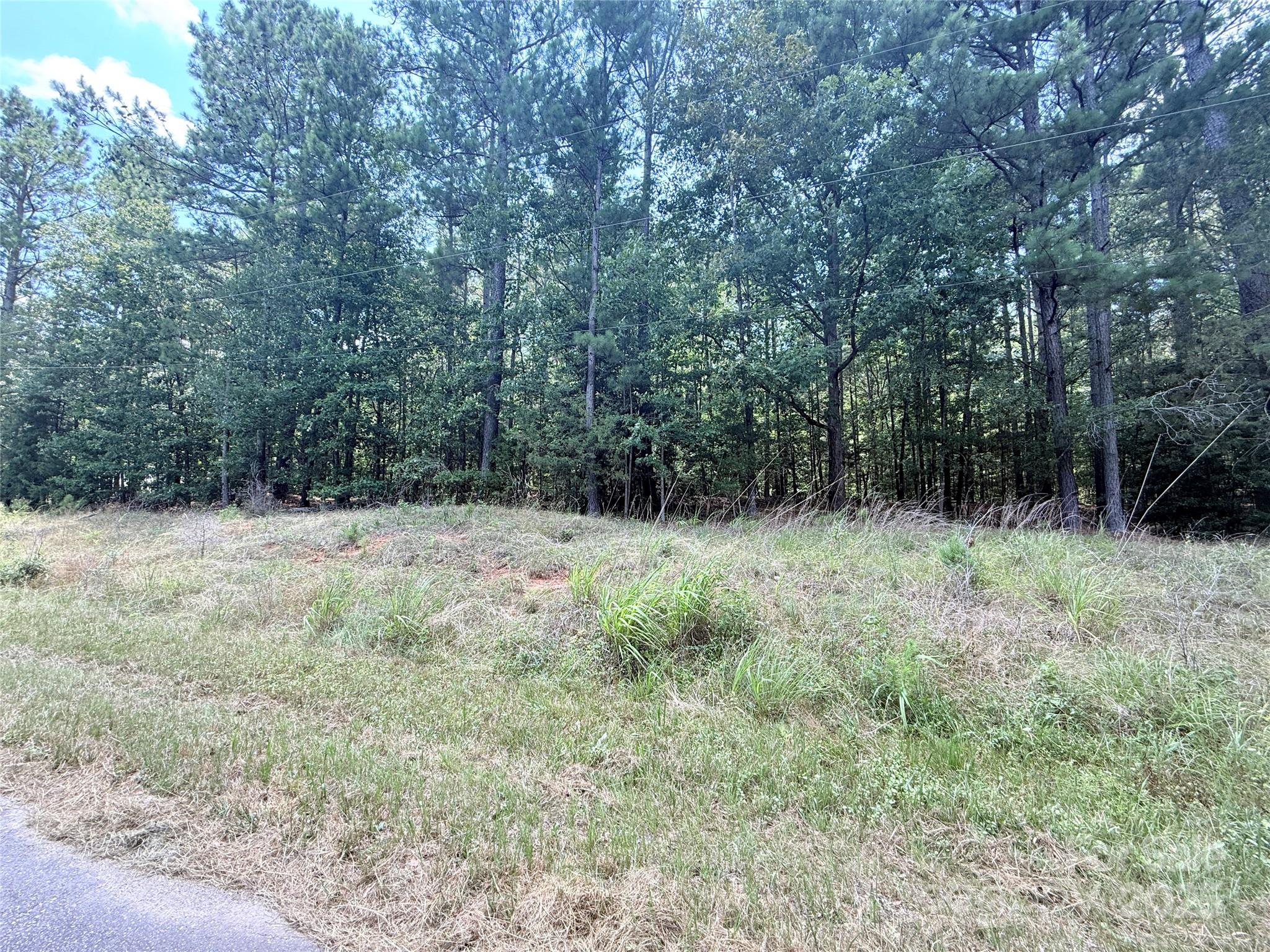 4.7-acres Blade Run Road Edgemoor, SC 29712 - Photo 1 of 4