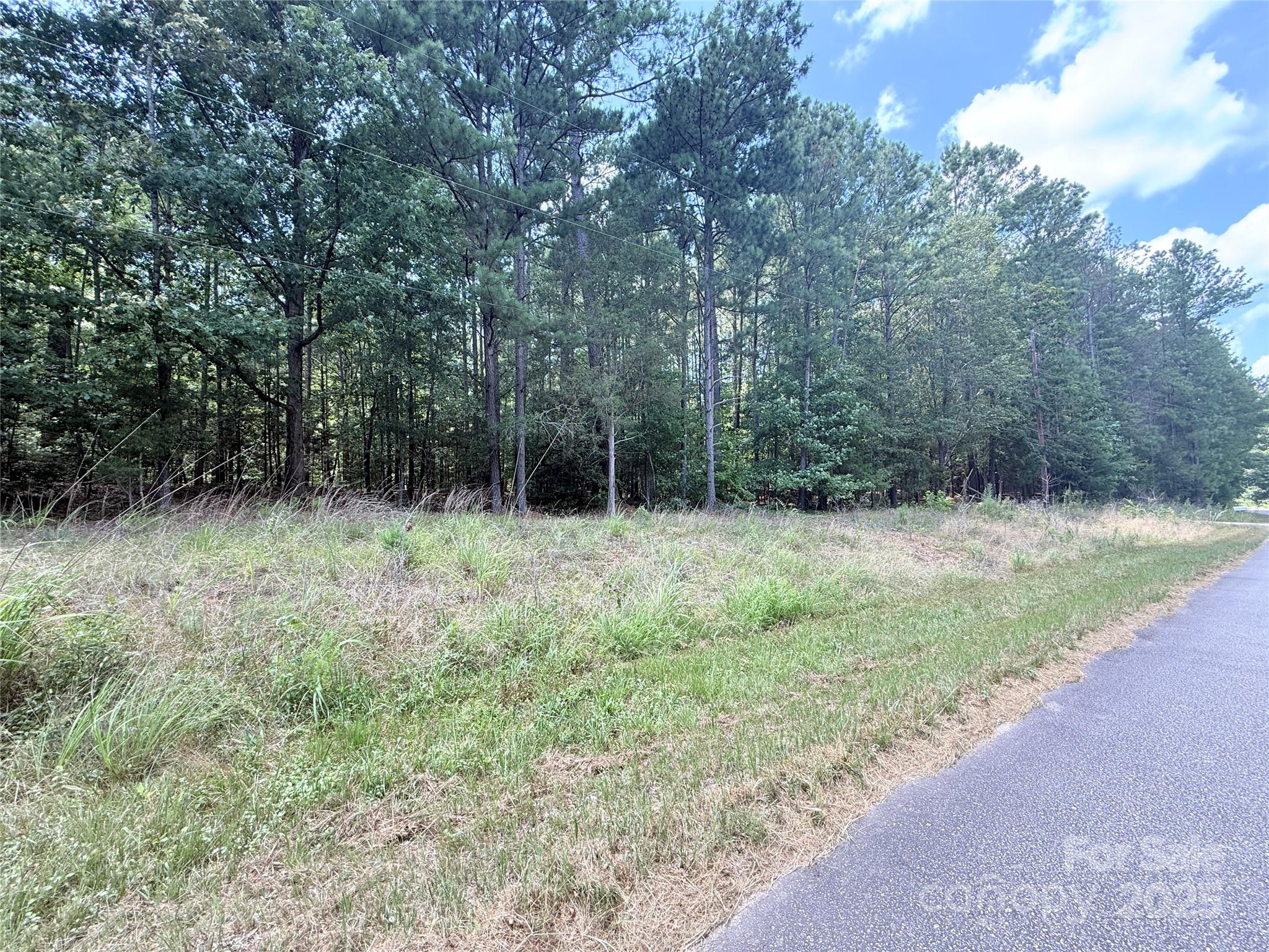 4.7-acres Blade Run Road Edgemoor, SC 29712 - Photo 2 of 4