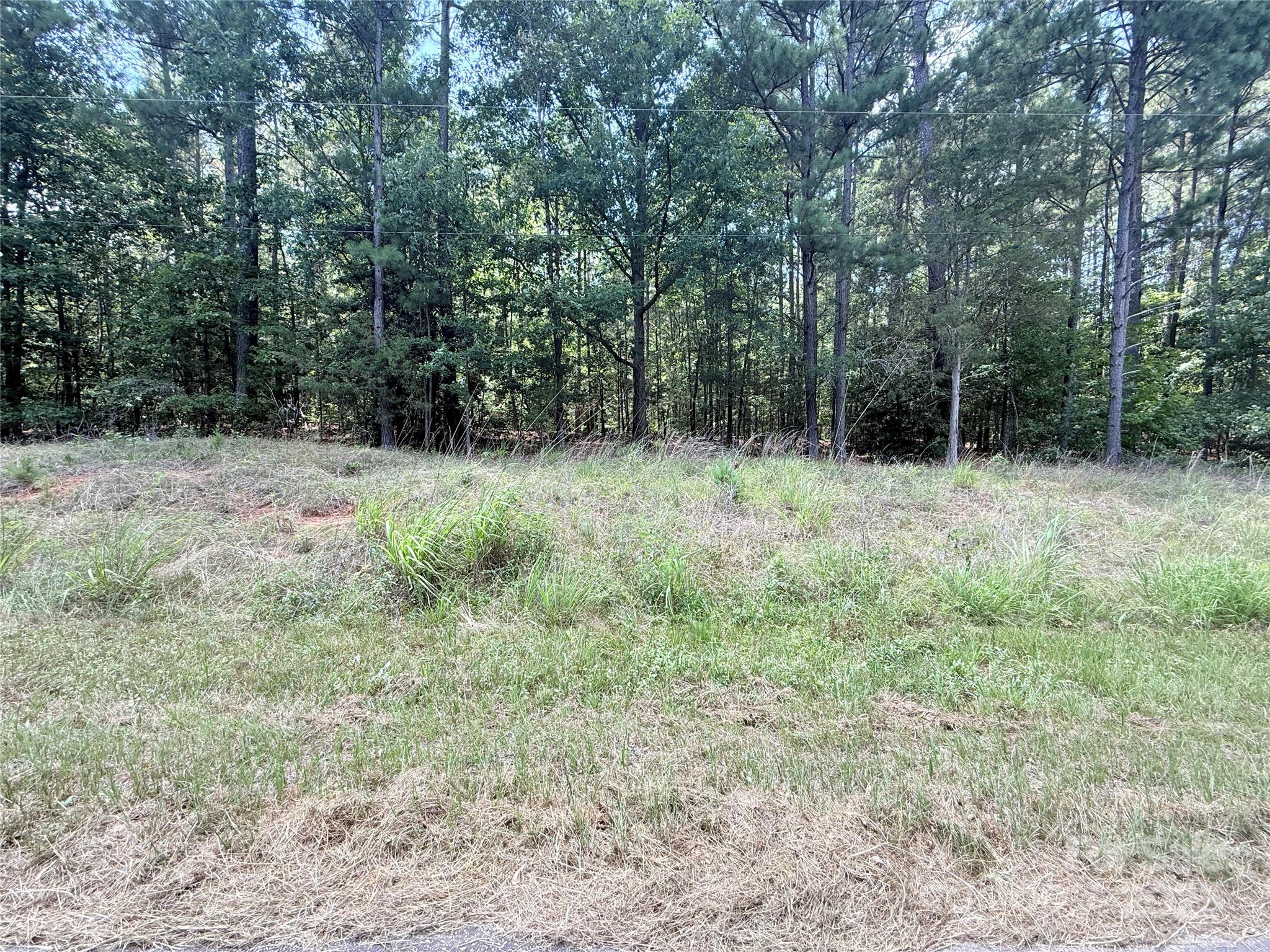 4.7-acres Blade Run Road Edgemoor, SC 29712 - Photo 3 of 4
