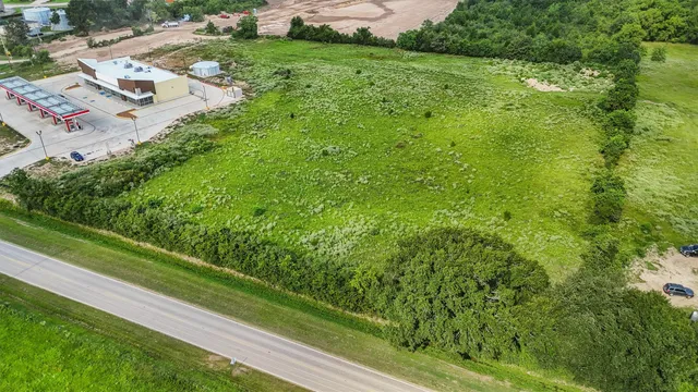 a view of a yard with plants