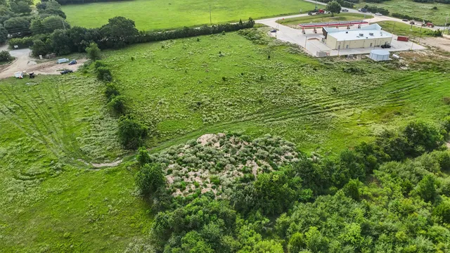 a view of a garden with a lake