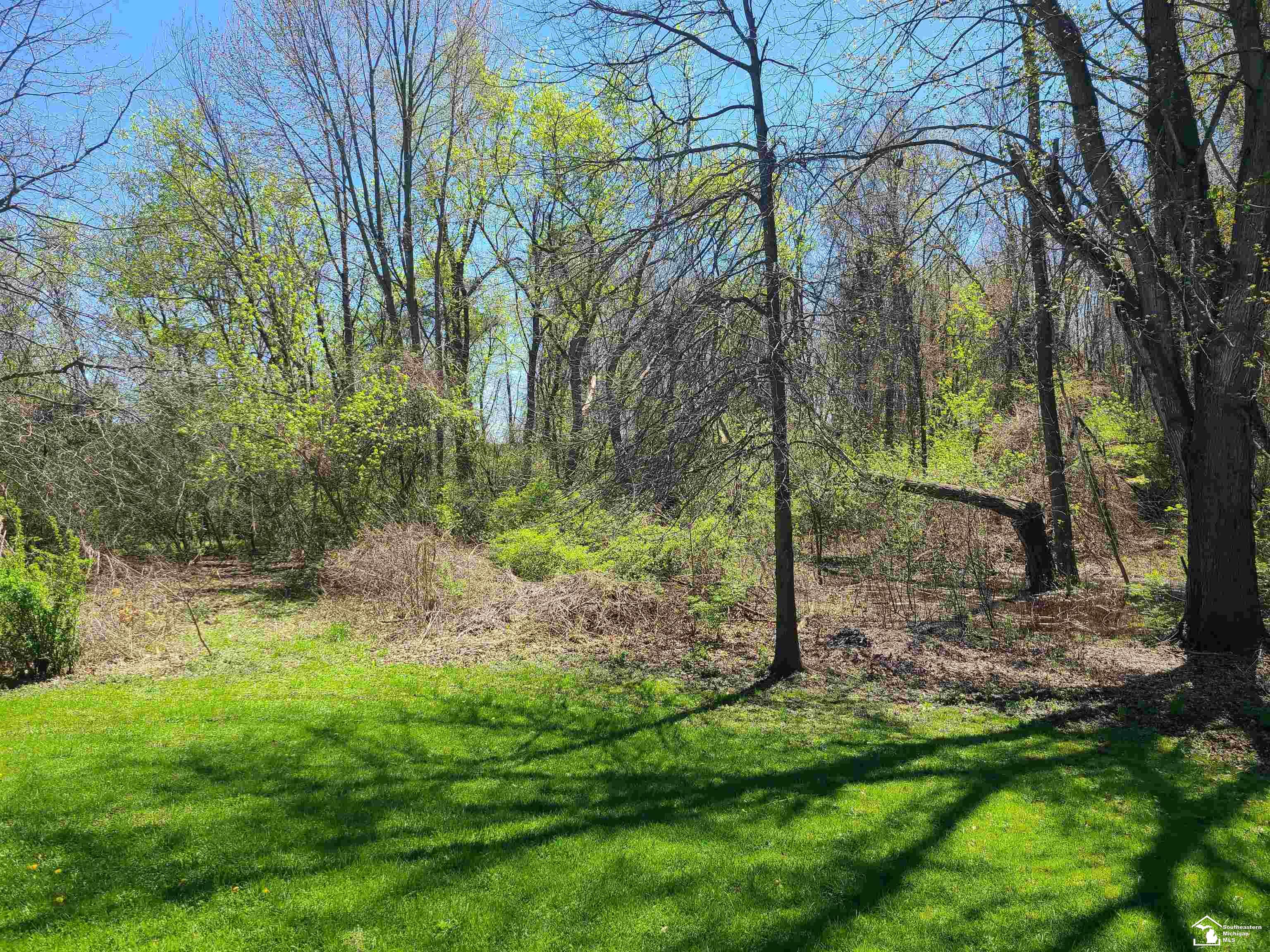11581 Dixon Road Monroe, MI 48161 - Photo 18 of 41