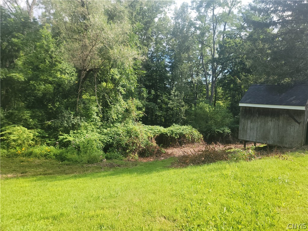 4906 Lawless Road Marcellus, NY 13108 - Photo 17 of 47 side yard steam beyond bushes
