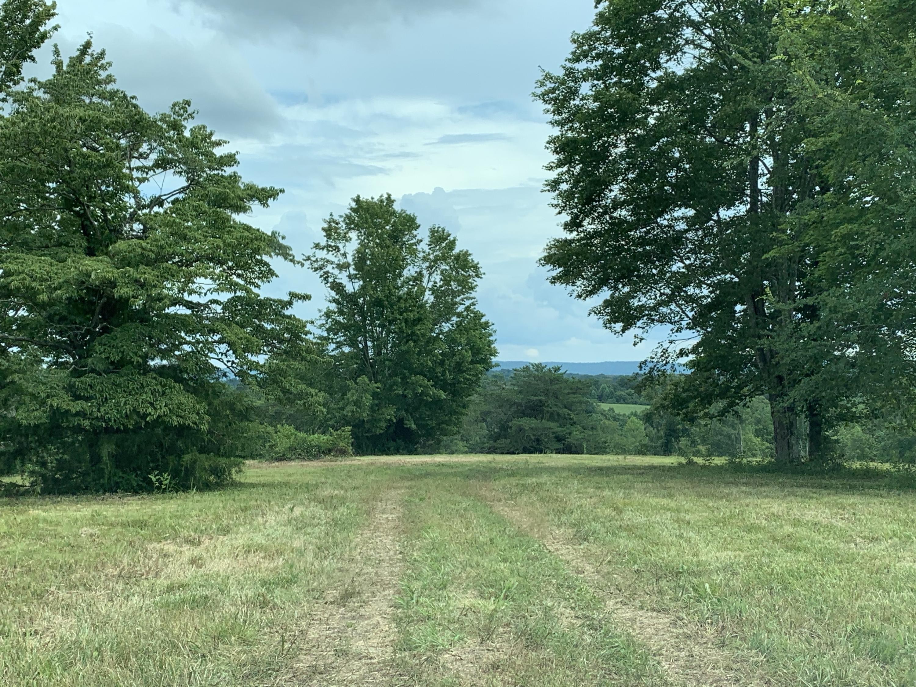 485 Frye Road Nancy, KY 42544 - Photo 3 of 18 VAhucz4wTWWfdIPM8efUDw