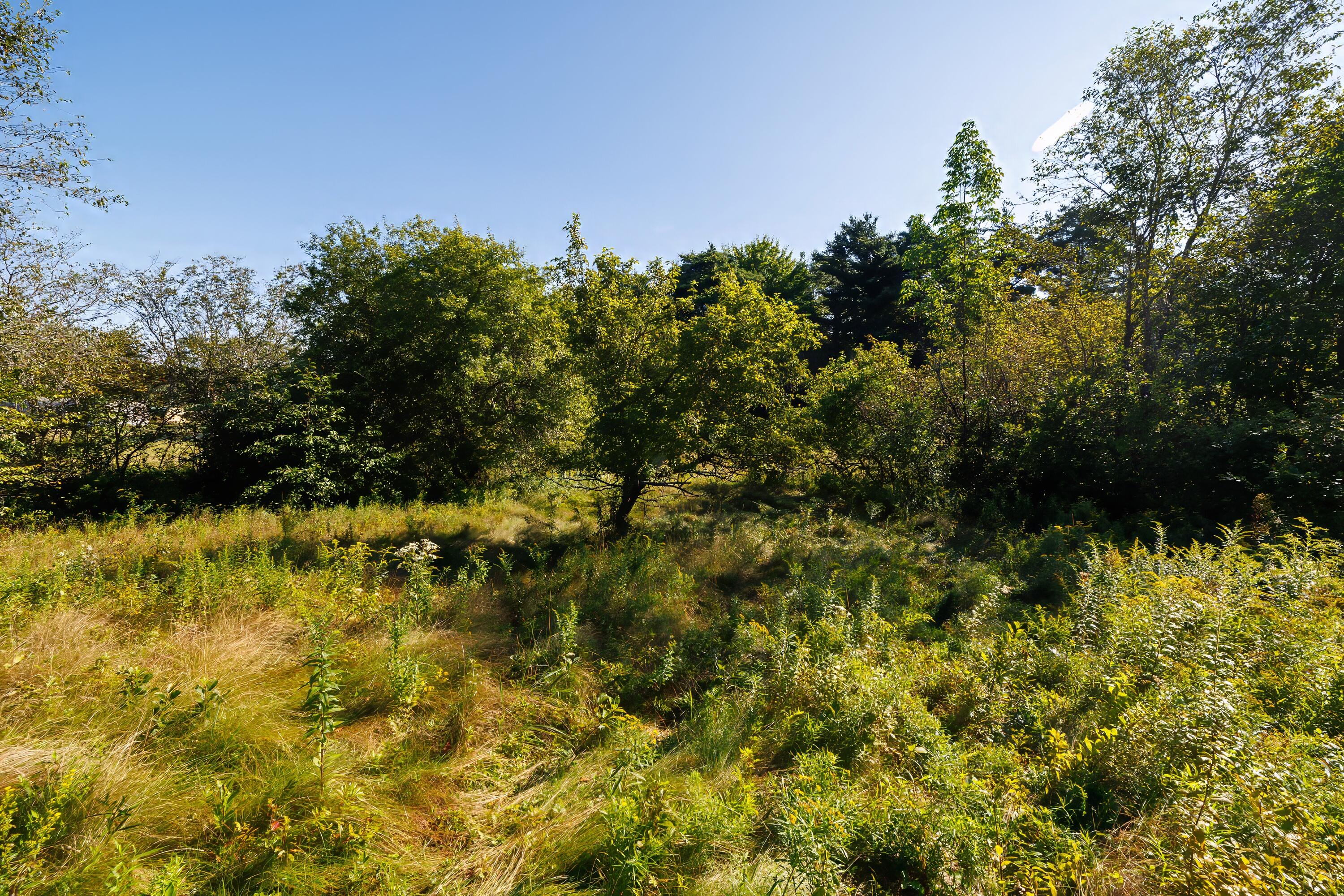 Lot 12 Straight Bay Road Lubec, ME 04652 - Photo 13 of 42 12- Lot 12-B Straight Bay Road HiRes-DTP