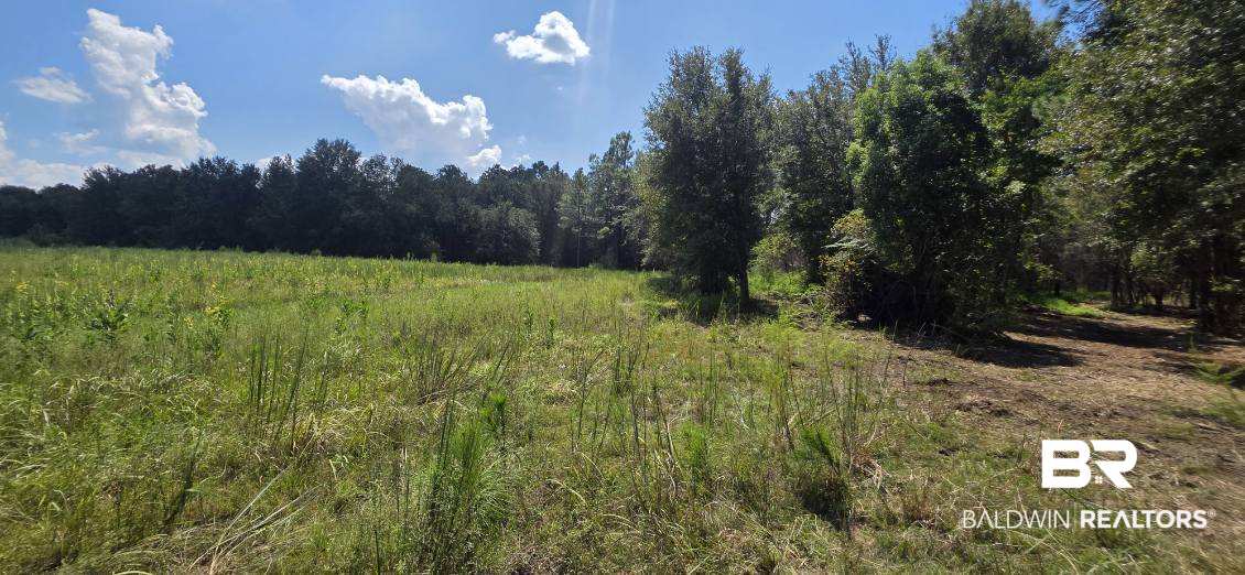 21373 Ima Brill Road Robertsdale, AL 36567 - Photo 5 of 25 Gallery Image 5