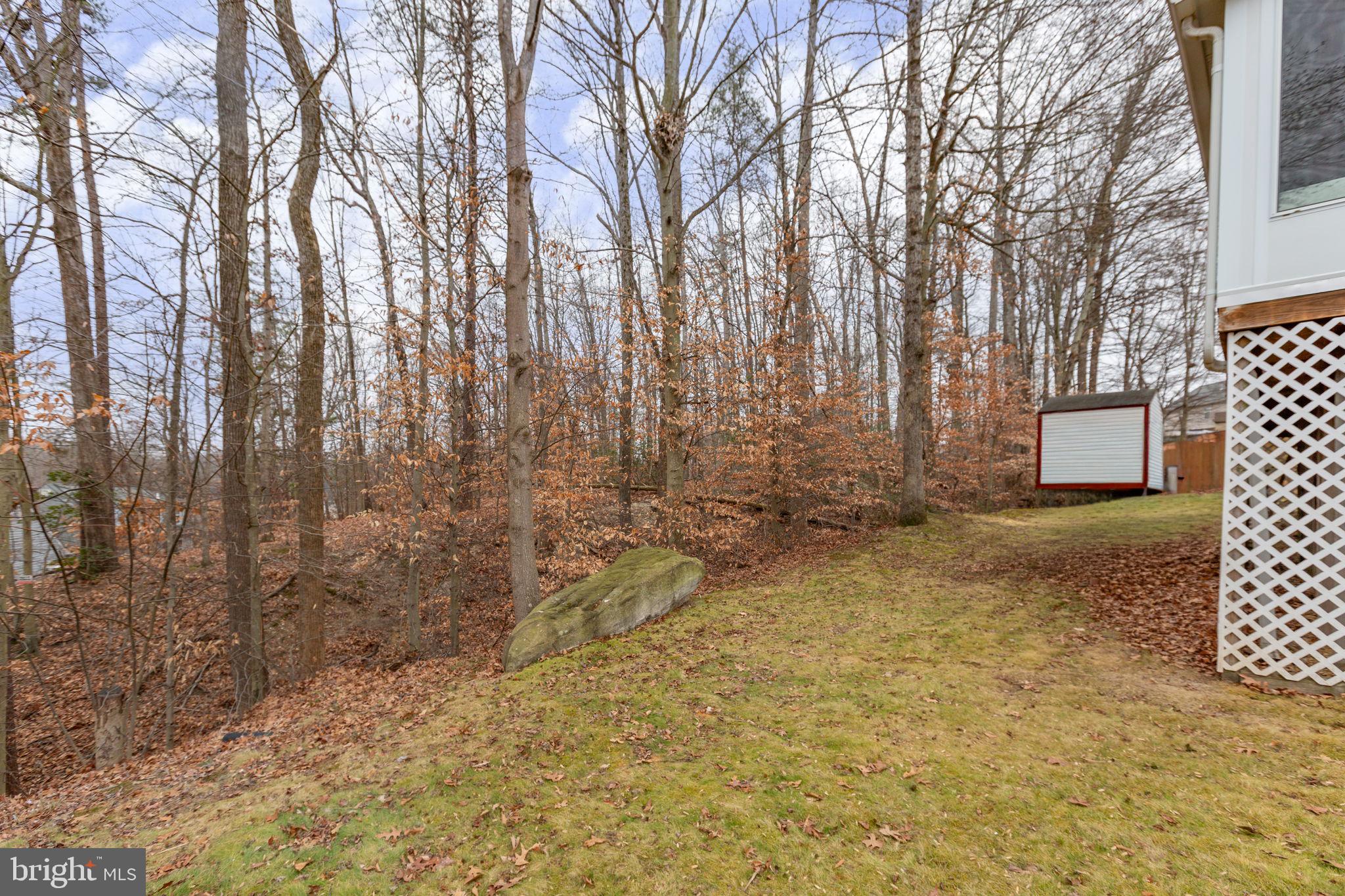 12 Bells Ridge Drive Stafford, VA 22554 - Photo 45 of 62