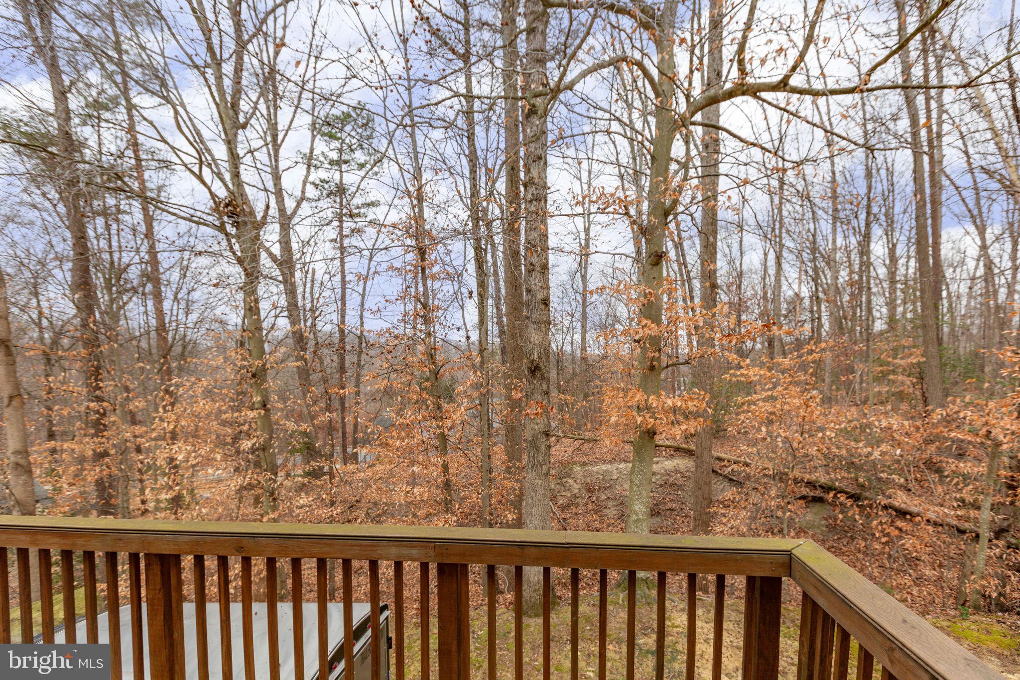 12 Bells Ridge Drive Stafford, VA 22554 - Photo 55 of 62