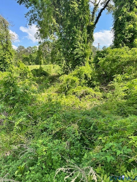 10031 Twin Valley Road Richmond, VA 23235 - Photo 2 of 3 an aerial view of residential house with outdoor space and trees all around