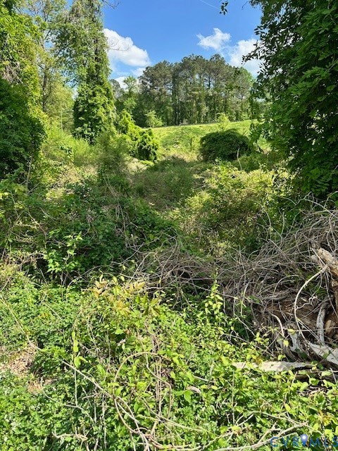 10031 Twin Valley Road Richmond, VA 23235 - Photo 3 of 3 a view of a lush green forest with large trees